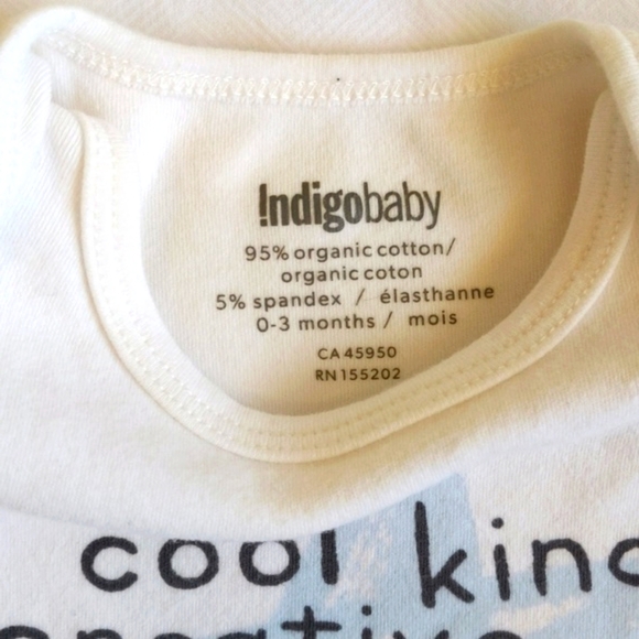 indigo baby organic cotton graphic short sleeve bodysuit diaper shirt 3 months - Picture 3 of 6